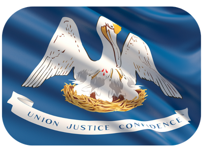Louisiana flag
