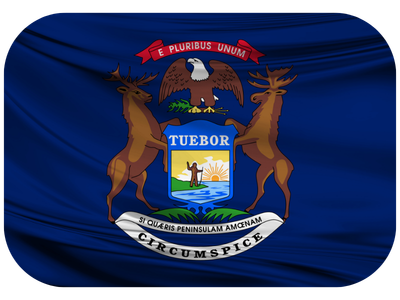 Michigan flag