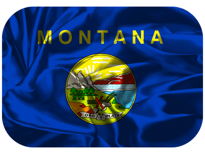 Montana flag